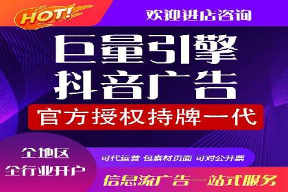 电商行业SEM运营的挑战与成功案例